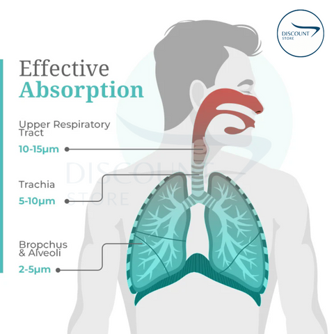 Portable Nebulizer For Asthma